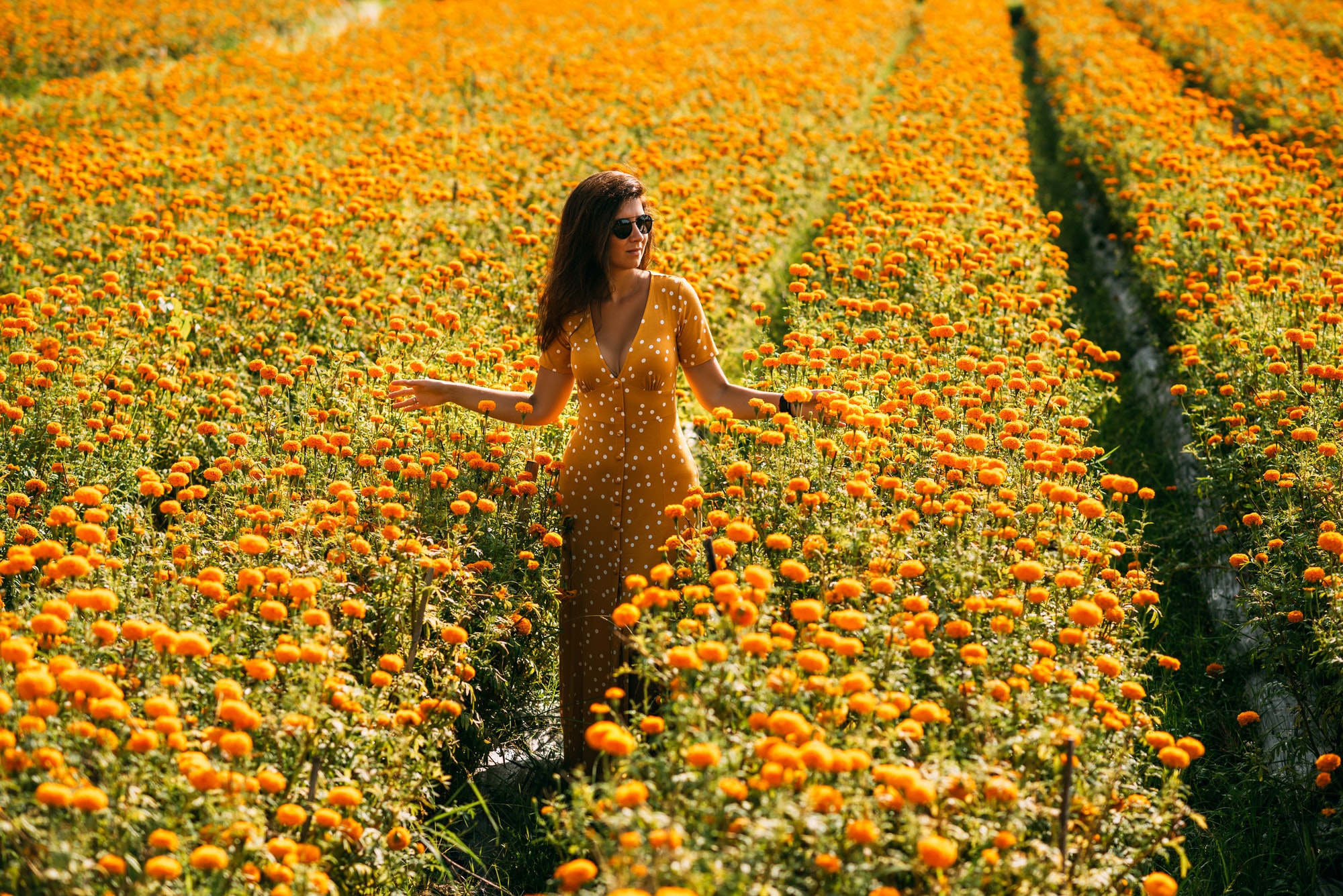 Beautiful girl on a flower field. A girl in a yellow dress among flowers